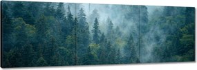 Vászonkép 150x50 Erdő a ködben Utazás