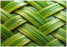 Fotótapéták 416x290 Zöld fonott zöld rattan fonott lemez