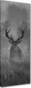 Vászonkép 40x100 Szarvas a ködben