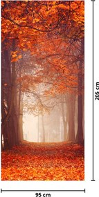 Fotótapéta ajtóra - Őszi erdő (95x205cm)