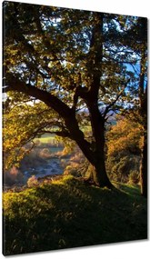 Vászonkép 80x120 Kilátás a völgyre