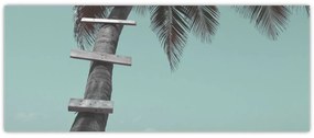 Kép - Palma a Karib-tengeren (120x50 cm)