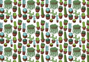 Fotótapéta - Kaktusz (152,5x104 cm)
