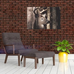Kép - Szarvas az erdőben (90x60 cm)