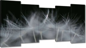 Vászonkép 150x80 Pitypang Virág Virágok