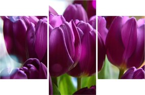 Tulipán képe (90x60 cm)