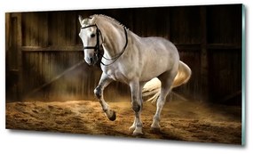 Üvegkép Fehér ló az istállóban osh-113734003