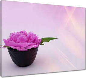 Vászonkép 50x40 Spa Wellness Virág