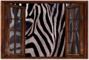 Poszterek 120x80 Makro fotó zebra