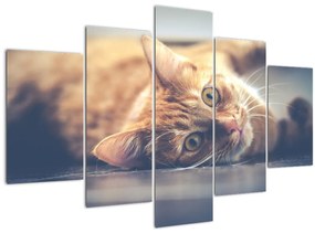 Egy kép a macskáról a padlón (150x105 cm)