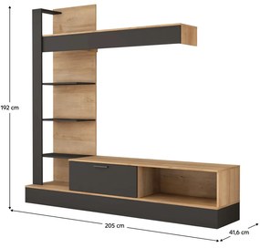 Nappali fal, riviera tölgy/fekete, GELUZA