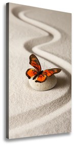 Vászonkép Zen kő és pillangó ocv-105886017
