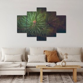 Kép - Fenyőfa részlete (150x105 cm)