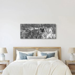 Kép - Róka télen (120x50 cm)