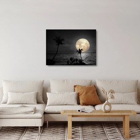Kép - A strand a telihold alatt szürke tónusokkal (üvegen) (70x50 cm)