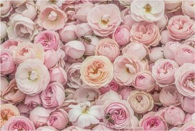 Dekoratív Fotótapéta Hálószobába Gyönyörű virágok 104x70 Ragasztó