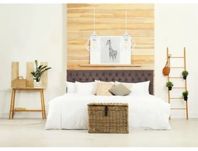 Csillár zsinóron CEED 2xE27/60W/230V