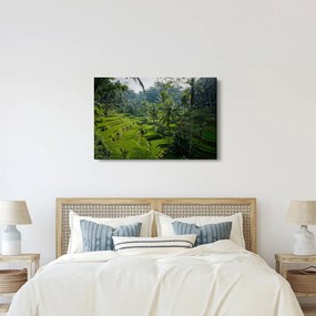 Kép a rizs teraszokról, Tegalalang, Bal (90x60 cm)