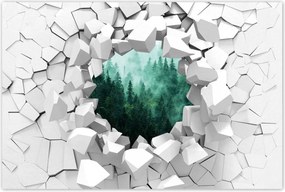 Poszterek 60x40 Erdő Köd Tájkép Utazás