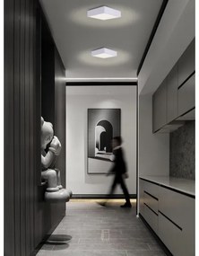 Immax NEO 07238L - LED dimmelhető mennyezeti lámpa CANTO 22W/230V fehér Tuya + t