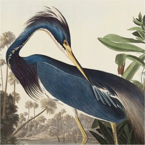 Dekoratív Fotótapéta Furnér Flizelin Egzotikus természet 250x250