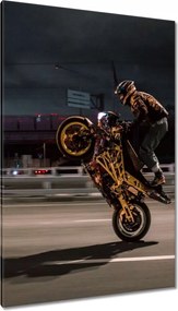 Festmények 80x120 Motorral egy keréken