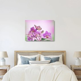 Üveg kép - Pillangó orchidea virágon, lila (70x50 cm)