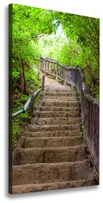 Vászonfotó Lépcsők az erdőben ocv-62056285