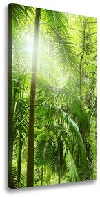 Vászon nyomtatás Az esőerdő ocv-76332675
