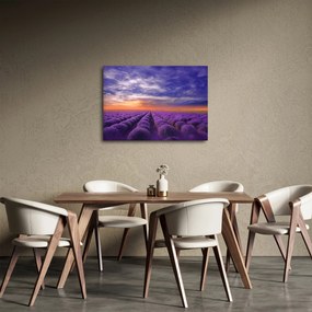 Egy levendula mező képe (70x50 cm)