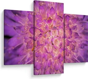 Részletes virágkép (90x60 cm)