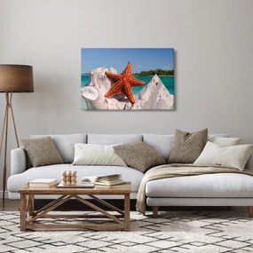 Egy tengeri csillag képe (90x60 cm)