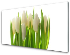 Üvegkép falra Plant tulipánok Természet 120x60cm