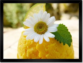 Poszterek keretben 40x30 Gyümölcsös sárgabarack fagylalt