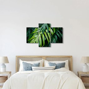 Kép - trópusi levelek (90x60 cm)