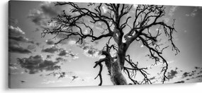 Kép - fekete fehér fa (120x50 cm)