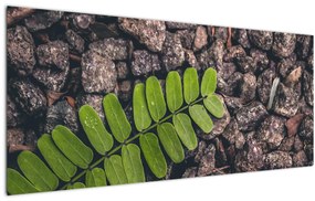 Zöld növények képe (120x50 cm)