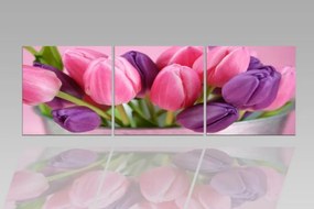 Digital Art vászonkép | 1211-S Tulipe Colore CUBE