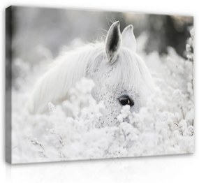 Vászonkép, Fehér ló a virágzó ágak között, 100x75 cm méretben