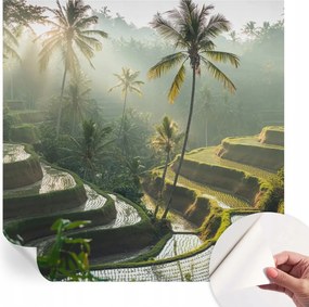 Öntapadós Stílusos Dekoratív Fotótapéta Paradicsom teraszok 250x250 cm