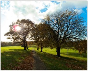 Poszterek 50x40 Őszi tájkép