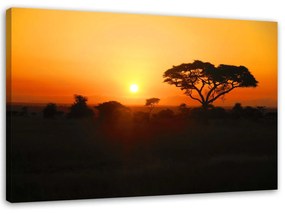 Gario Vászonkép Afrikai naplemente Méret: 60 x 40 cm