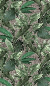 Fotótapéta Fali mosható nagy Levelek világos Tégla