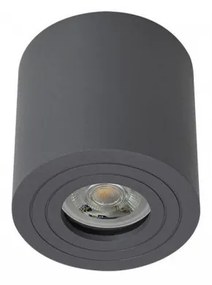 SMARTER-90180 Fekete színű kültéri mennyezeti lámpa 1XGU10 35W IP65