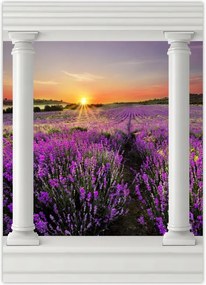 Poszterek 50x70 Levendulamező Nyugat