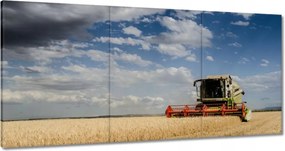 Képek 120x60 Kombájn az aratás során