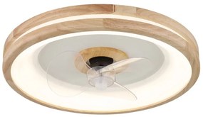 Ventilátoros Lámpa Fa GLOBO-3650