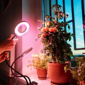 LED flexibilis asztali lámpa csipesszel növényekhez VITARO 2xLED/4W/230V fekete