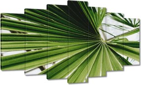 Vászonkép 140x80 Pálmalevél Levél