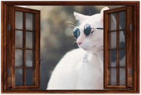 Poszterek 120x80 Cica Cicák